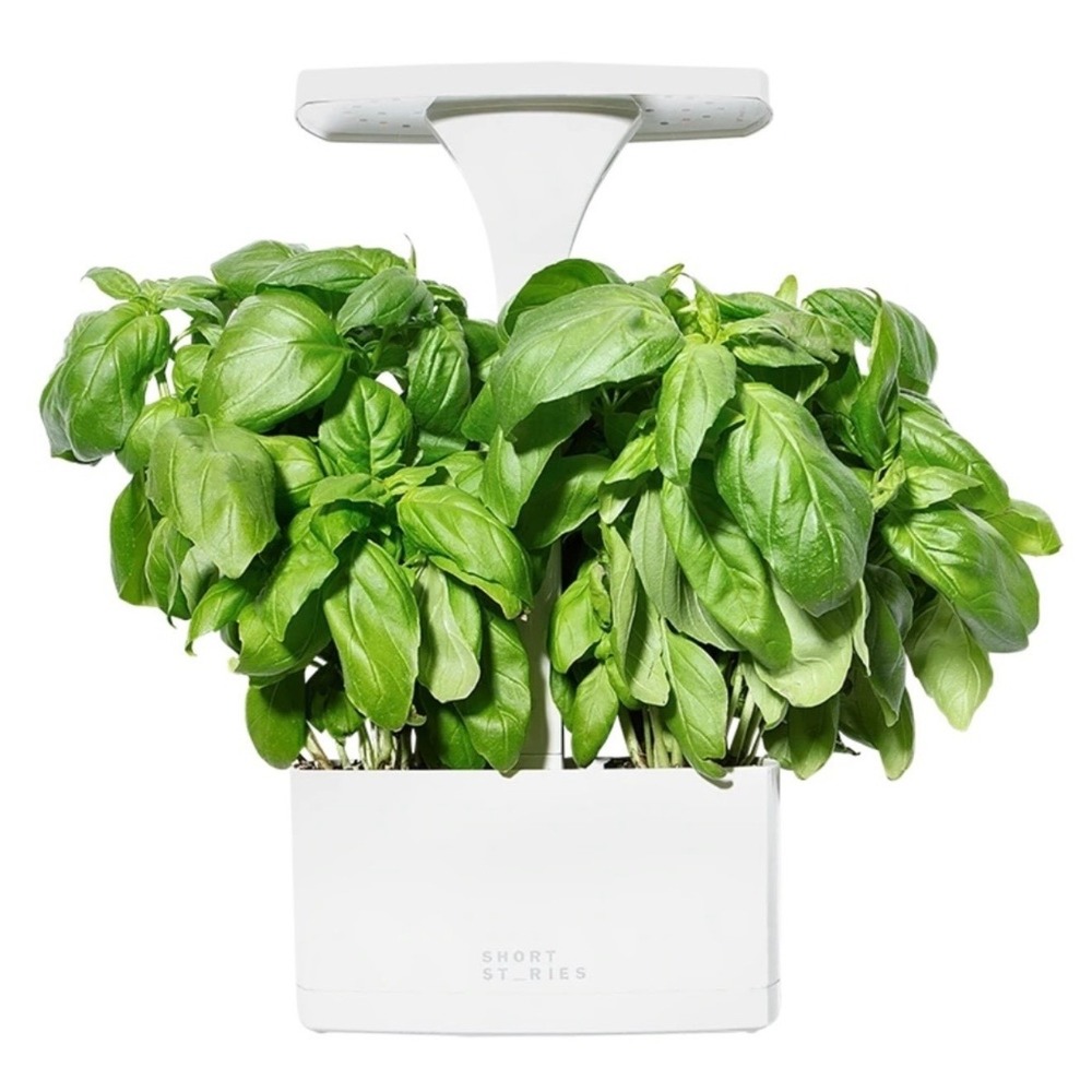 Short Stories LED Indoor Planter White SHS-TE-001 with Basil Seeds NEW‎